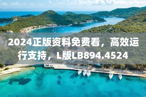 2024正版资料免费看，高效运行支持，L版LB894.4524