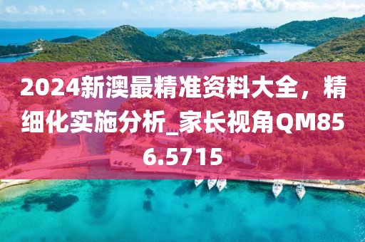 2024新澳最精准资料大全，精细化实施分析_家长视角QM856.5715
