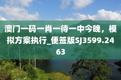 澳门一码一肖一待一中今晚，模拟方案执行_便签版SJ3599.2463