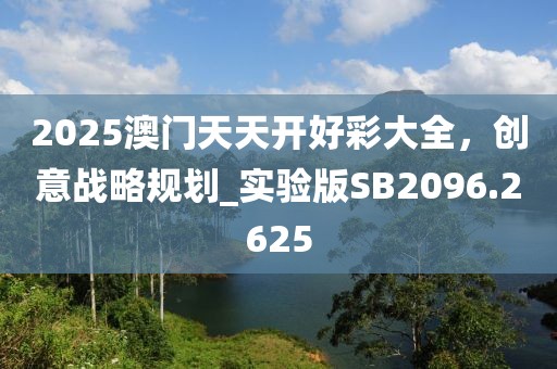 2025澳门天天开好彩大全，创意战略规划_实验版SB2096.2625