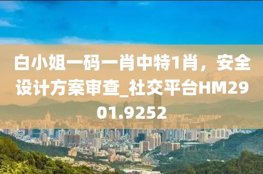 白小姐一码一肖中特1肖，安全设计方案审查_社交平台HM2901.9252