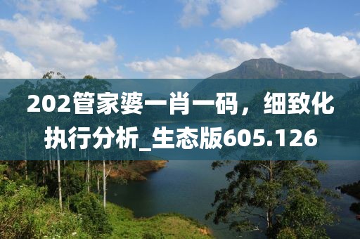 202管家婆一肖一码，细致化执行分析_生态版605.126