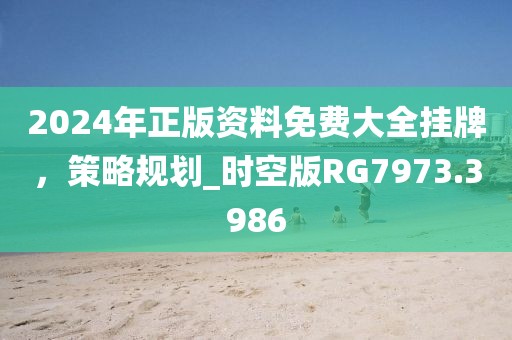 2024年正版资料免费大全挂牌，策略规划_时空版RG7973.3986