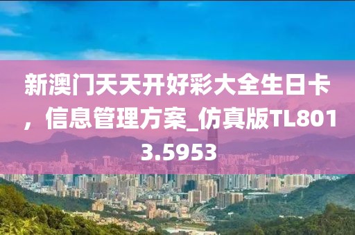 新澳门天天开好彩大全生日卡，信息管理方案_仿真版TL8013.5953