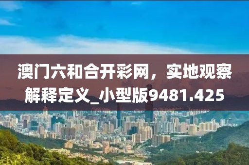 澳门六和合开彩网，实地观察解释定义_小型版9481.425