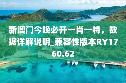新澳门今晚必开一肖一特，数据详解说明_兼容性版本RY1760.62