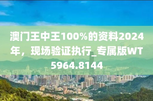 澳门王中王100%的资料2024年，现场验证执行_专属版WT5964.8144