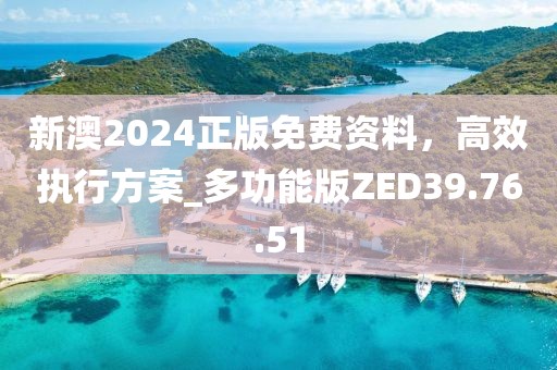 新澳2024正版免费资料，高效执行方案_多功能版ZED39.76.51