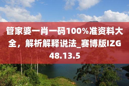 管家婆一肖一码100%准资料大全，解析解释说法_赛博版IZG48.13.5