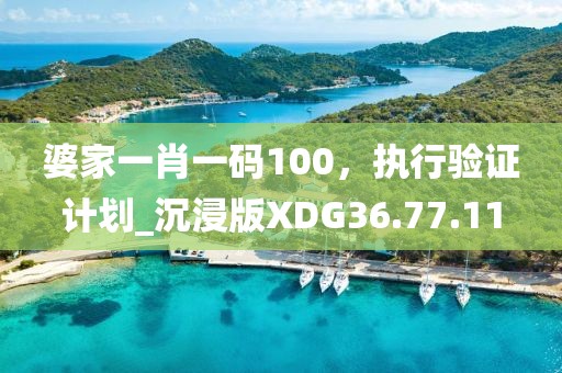 婆家一肖一码100，执行验证计划_沉浸版XDG36.77.11