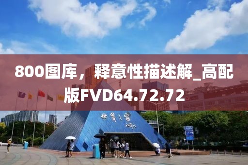 800图库，释意性描述解_高配版FVD64.72.72