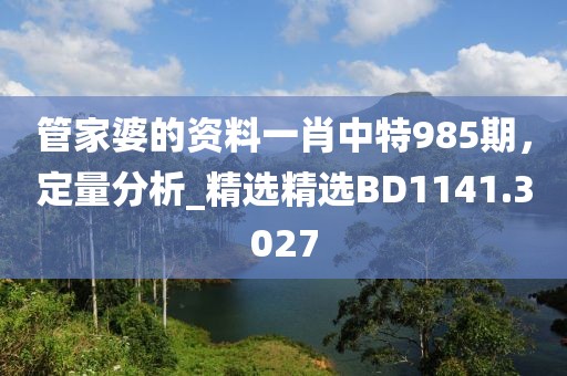 管家婆的资料一肖中特985期，定量分析_精选精选BD1141.3027
