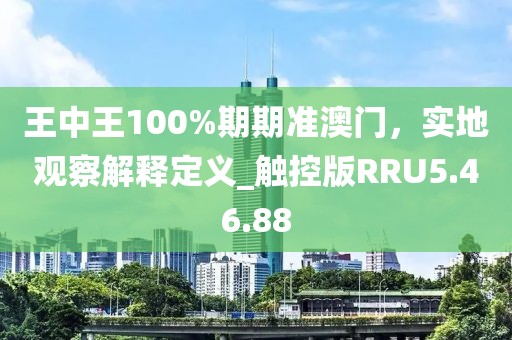 王中王100%期期准澳门，实地观察解释定义_触控版RRU5.46.88