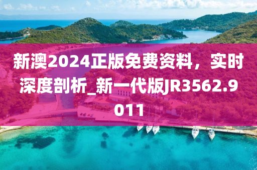 新澳2024正版免费资料，实时深度剖析_新一代版JR3562.9011