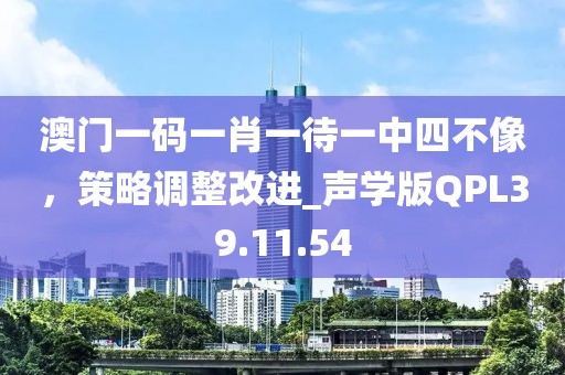 澳门一码一肖一待一中四不像，策略调整改进_声学版QPL39.11.54