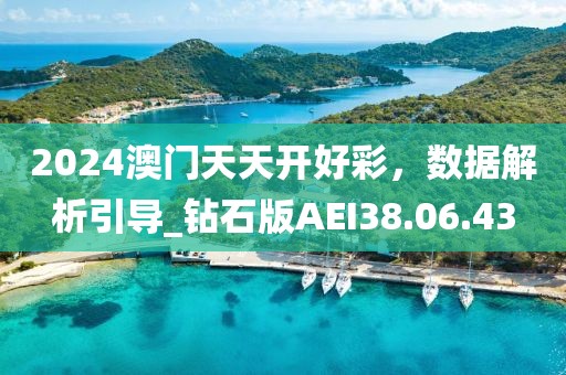 2024澳门天天开好彩，数据解析引导_钻石版AEI38.06.43
