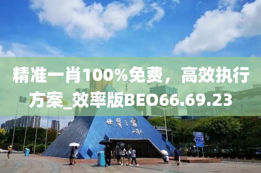 精准一肖100%免费，高效执行方案_效率版BEO66.69.23