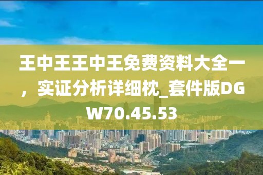 王中王王中王免费资料大全一，实证分析详细枕_套件版DGW70.45.53