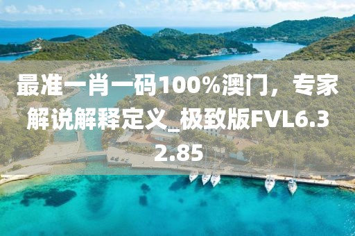 最准一肖一码100%澳门，专家解说解释定义_极致版FVL6.32.85