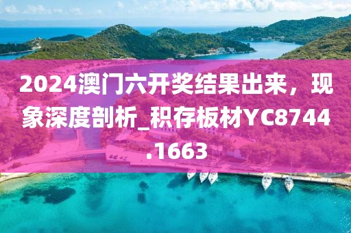 2024澳门六开奖结果出来，现象深度剖析_积存板材YC8744.1663