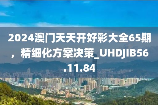2024澳门天天开好彩大全65期，精细化方案决策_UHDJIB56.11.84