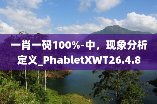 一肖一码100%-中，现象分析定义_PhabletXWT26.4.8
