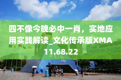 四不像今晚必中一肖，实地应用实践解读_文化传承版XMA11.68.22