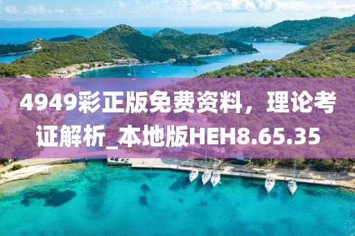4949彩正版免费资料，理论考证解析_本地版HEH8.65.35