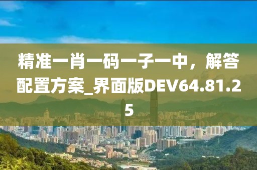 精准一肖一码一子一中，解答配置方案_界面版DEV64.81.25