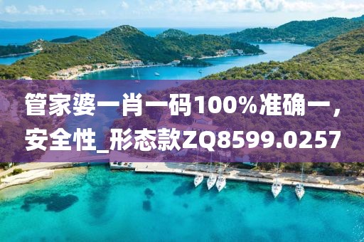 管家婆一肖一码100%准确一，安全性_形态款ZQ8599.0257