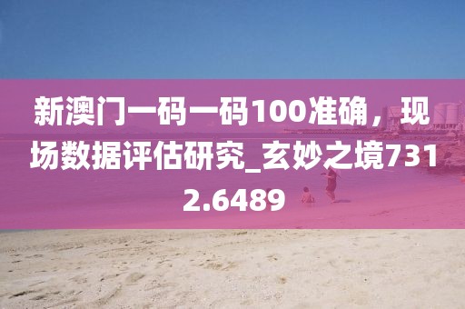 新澳门一码一码100准确，现场数据评估研究_玄妙之境7312.6489