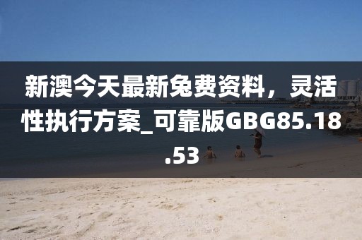 新澳今天最新兔费资料，灵活性执行方案_可靠版GBG85.18.53