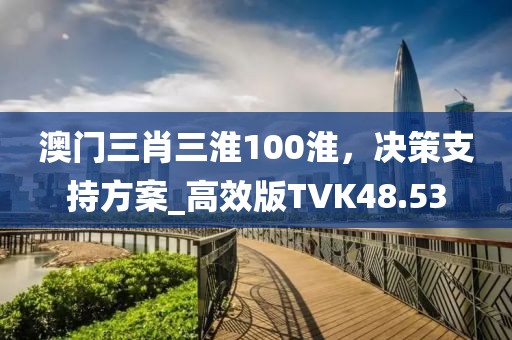 澳门三肖三淮100淮，决策支持方案_高效版TVK48.53