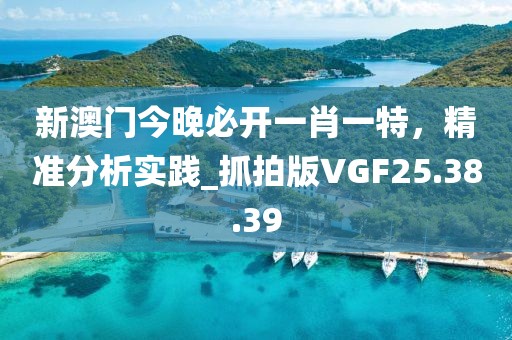 新澳门今晚必开一肖一特，精准分析实践_抓拍版VGF25.38.39