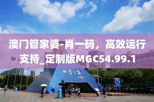 澳门管家婆-肖一码，高效运行支持_定制版MGC54.99.1