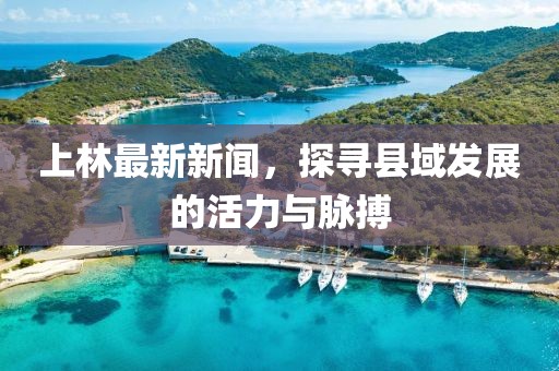 2024年11月 第86页