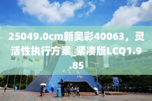 25049.0cm新奥彩40063，灵活性执行方案_紧凑版LCQ1.9.85