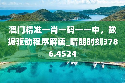 澳门精准一肖一码一一中，数据驱动程序解读_晴朗时刻3786.4524