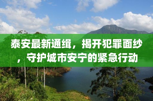 泰安最新通缉，揭开犯罪面纱，守护城市安宁的紧急行动