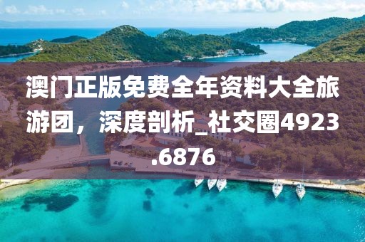 澳门正版免费全年资料大全旅游团，深度剖析_社交圈4923.6876