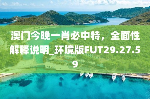 澳门今晚一肖必中特，全面性解释说明_环境版FUT29.27.59