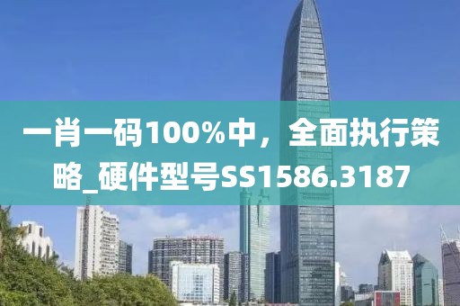 一肖一码100%中，全面执行策略_硬件型号SS1586.3187