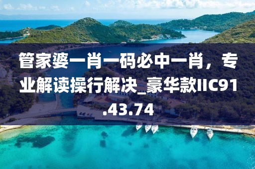 管家婆一肖一码必中一肖，专业解读操行解决_豪华款IIC91.43.74
