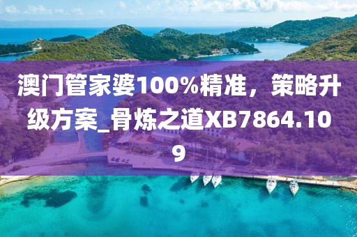 澳门管家婆100%精准，策略升级方案_骨炼之道XB7864.109