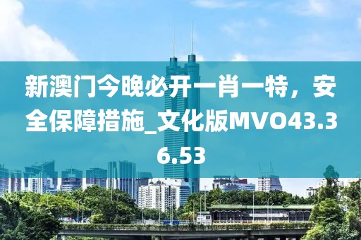新澳门今晚必开一肖一特，安全保障措施_文化版MVO43.36.53