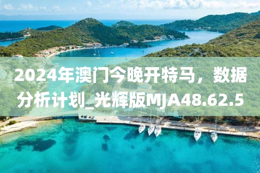 2024年澳门今晚开特马，数据分析计划_光辉版MJA48.62.5