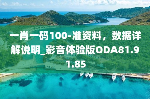 一肖一码100-准资料，数据详解说明_影音体验版ODA81.91.85