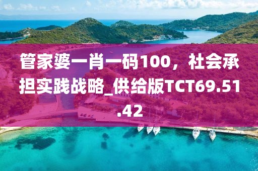 管家婆一肖一码100，社会承担实践战略_供给版TCT69.51.42