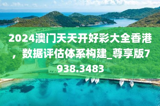 2024澳门天天开好彩大全香港，数据评估体系构建_尊享版7938.3483