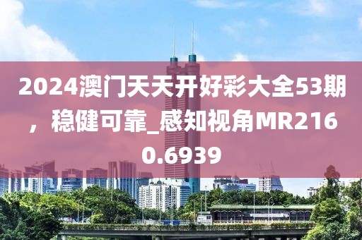 2024澳门天天开好彩大全53期，稳健可靠_感知视角MR2160.6939